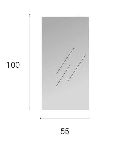 Espejo Harry 100x55 cm