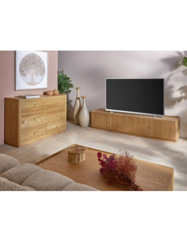 Mueble de TV Nereide 4 puertas