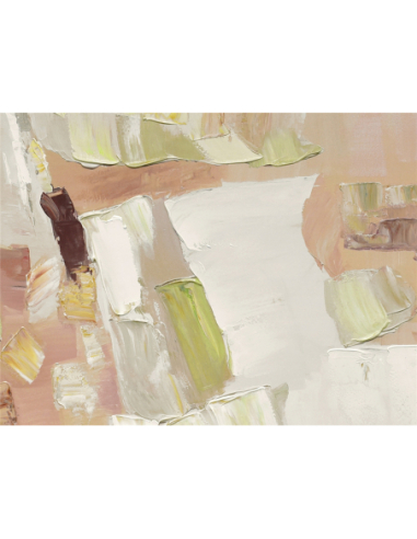 Lienzo impreso abstracto tonos salmón...