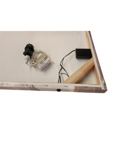 Lienzo impreso David 50% óleo con led