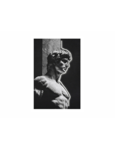 Lienzo impreso David 50%... 2