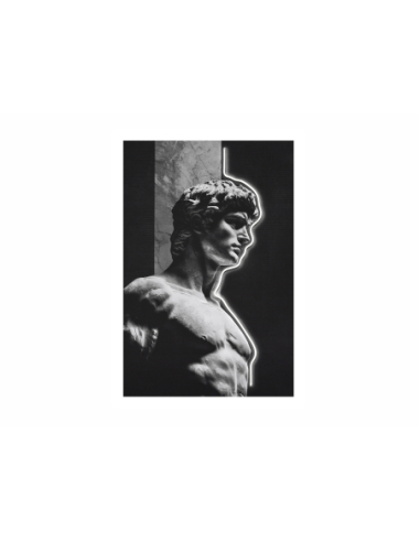 Lienzo impreso David 50% óleo con led