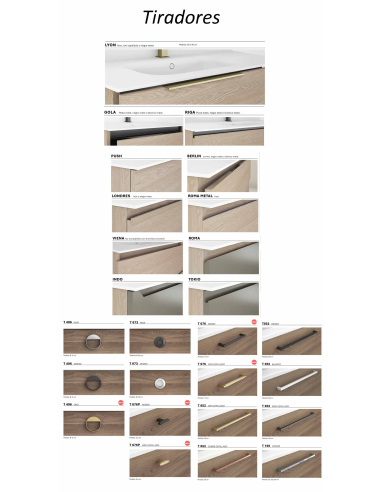 Mueble de baño 2 puertas