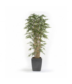 Árbol bambú PREMIUM de 150 cm