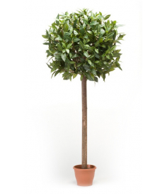 Árbol laurel ESFERA de 65 cm