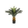 Árbol palmera CYCA BASIC | Kasas Decoración