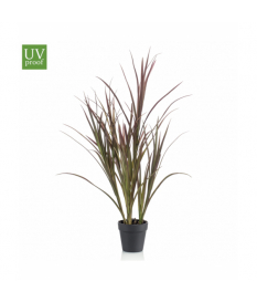 Arbusto Tipo JUNCO de 90 cm...