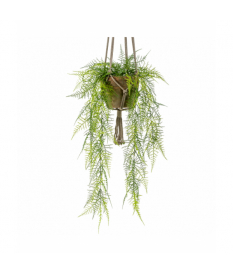 HELECHO PLUMOSO colgante de...