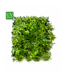 Jardín Vertical CHEFLERA