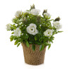 Rose Mini planta artificial | Kasas Decoración