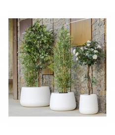 Jardinera DECOLUXE M 2