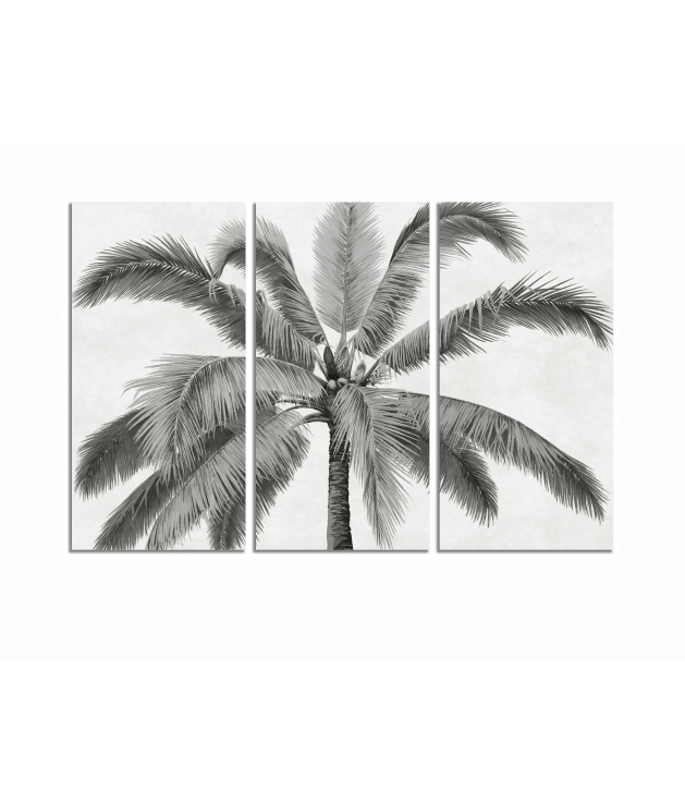 Lienzo impr. palmera 60x120 cms. s/3