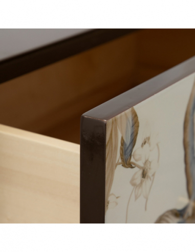 Armario "cabinet" flores