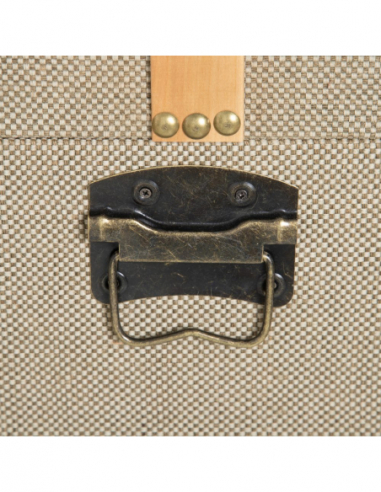 Set 2 baúles beige con detalles dorados