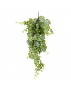 Planta Colgante HOJA DE PARRA