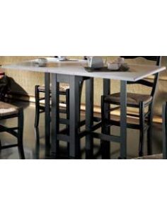 Mesa de alas auxiliar...