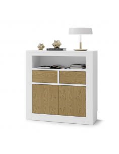 Mueble recibidor puertas y...