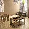 Mesa de centro elevable revistero ORIGIN | Kasas Decoración
